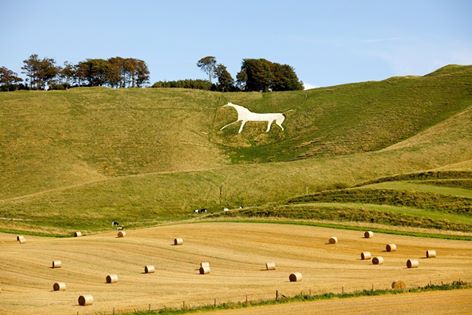 White Horse