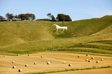 White Horse 