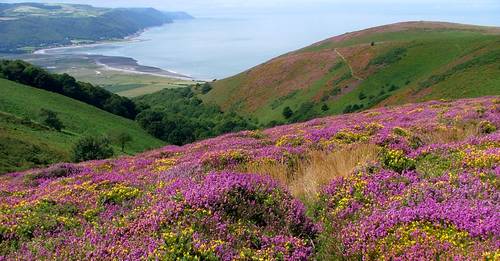 exmoor scenery