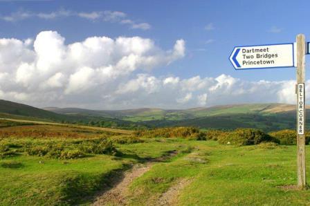 dartmoor tor