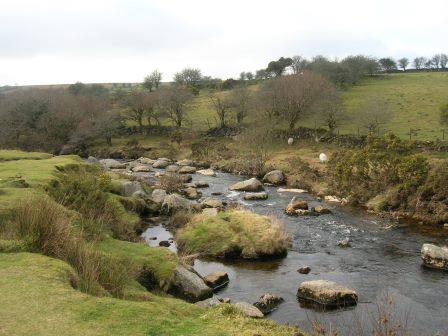 Dartmoor Farm Stay