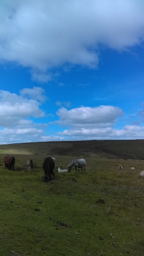 Dartmoor