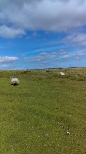 Dartmoor