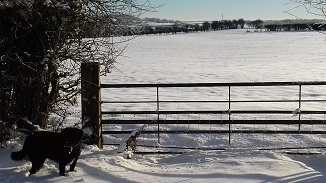 A wintery wonderland in Shropshire