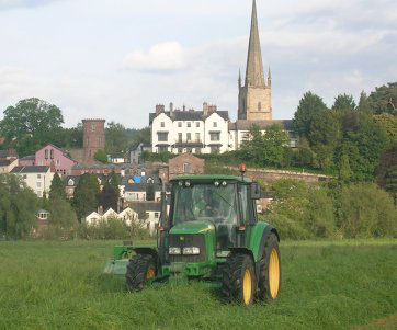 Mowing