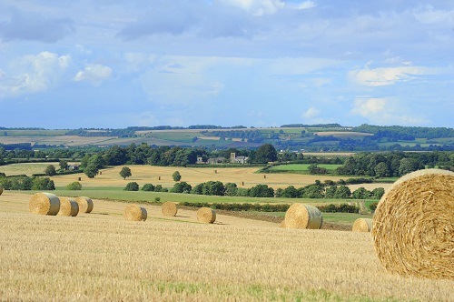 Family Friendly holidays farm stay Lincolnshire 