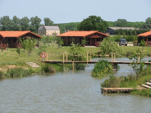 Rural Roosts - pond