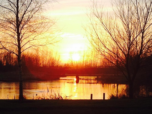 Rural Roosts - sunset