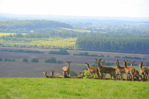 Walking Holidays Lincolnshire Wolds Farm Stay B&B Holiday Cottages