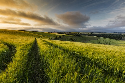 Holidays in The Lincolnshire Wolds Farm Stay B&B and Holiday Lodges 