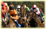 Horse racing at Market Rasen