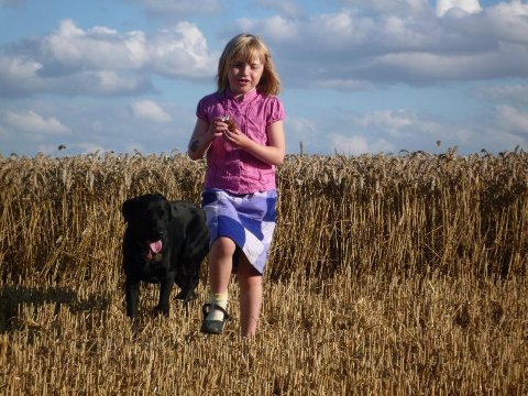 Lincolnshire countryside