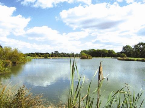 The fishing pond at The Grange, Market Rasen