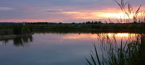 Waingrove Farm - sunset