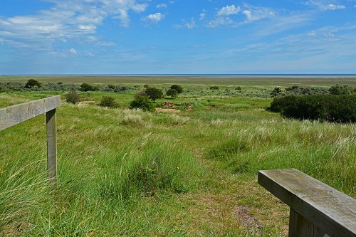 Farm Stay Holiday Cottages with Dogs Lincolnshire