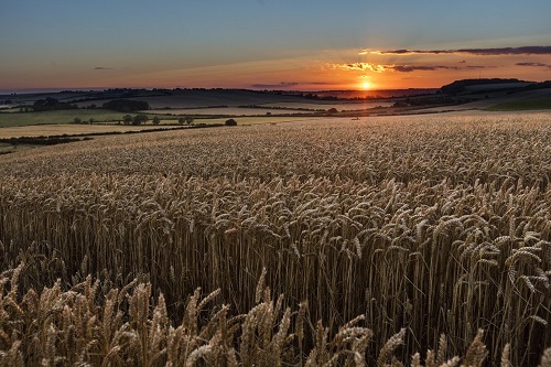 Stay on a farm Lincolnshire Wolds B&B and Holiday Cottages 