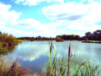 Fishing Holidays Lincolnshire