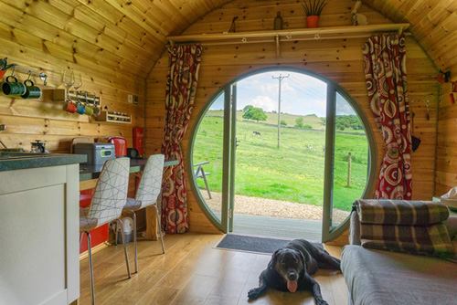 Dog friendly glamping pod