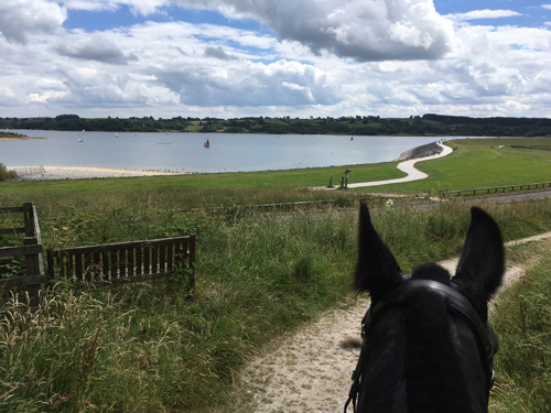 Horse riding at Carsington Water