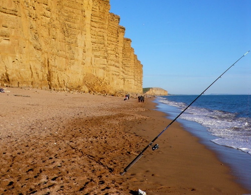 Fishing in Dorset