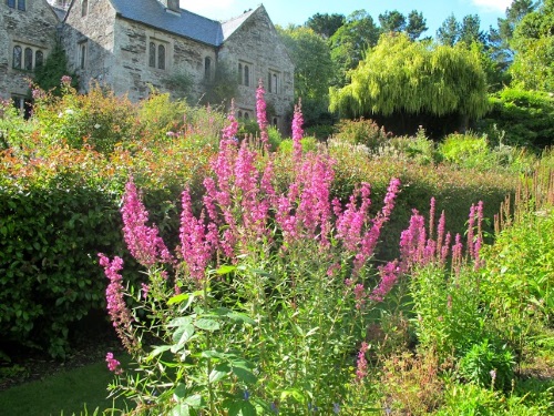 Cotehele