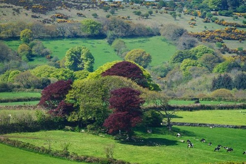 Countryside views from Copper Meadow