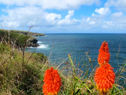 Coastal walks and stunning beaches