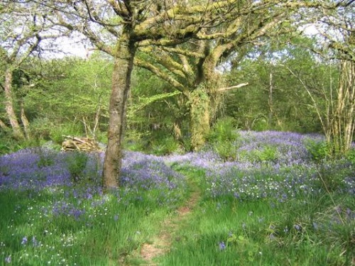Countryside walking closae to Mennabroom Farm
