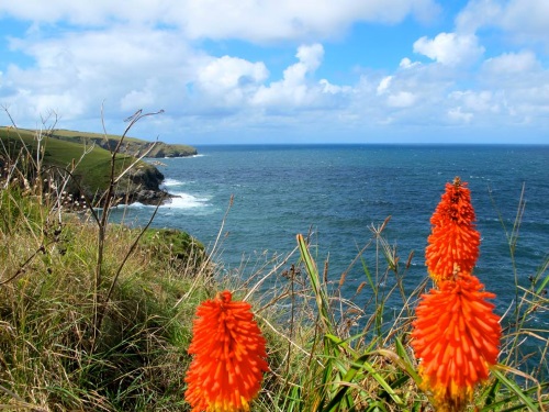 Port Isaac on the North Cornish Coast