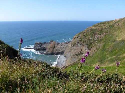 Coastal walking close to Lower Tresmorn Farm