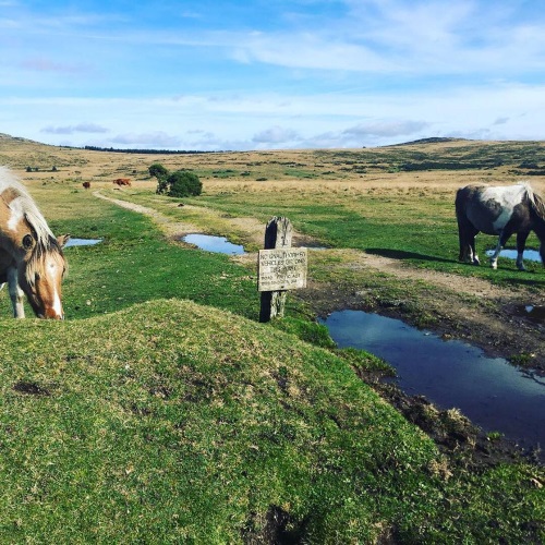 Dartmoor