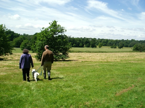 Kent Dog Friendly Cottages