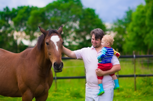 Family greeting Horse