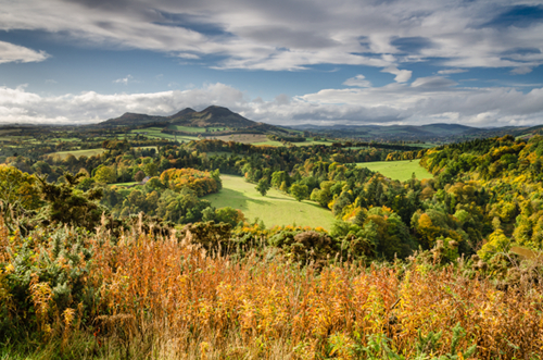 The Eildon Hills