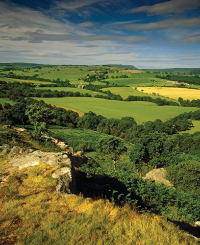 View of rolling green hills and fields