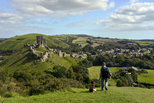 Walking dog in hills