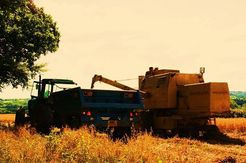 harvesting