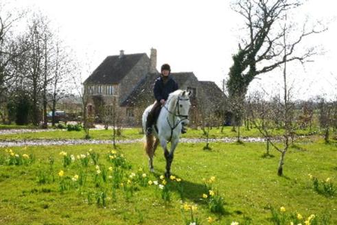 Riding through daffodils in Spring