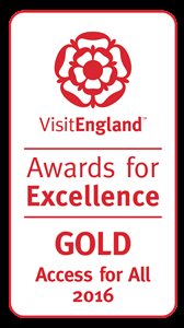 VE Awards for Excellence 2016 - Access for All Gold  Award 