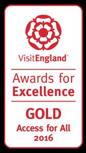 VE Awards for Excellence 2016 - Access for All Gold  Award 