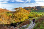Low-Season Breaks in the UK