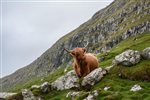 Autumn is a season for the senses in Scotland 