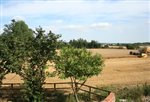 History, Countryside and Family Adventures in Essex