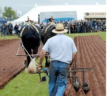 British National Ploughing Championships