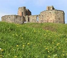 Stafford Castle