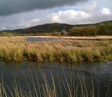 Cors Caron National Nature Reserve