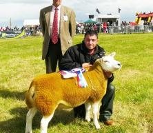 Wensleydale Show