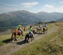 Snowdonia Riding Stables