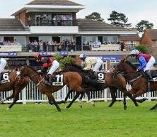 Stratford-upon-Avon racecourse