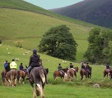 Cumbrian Heavy Horses